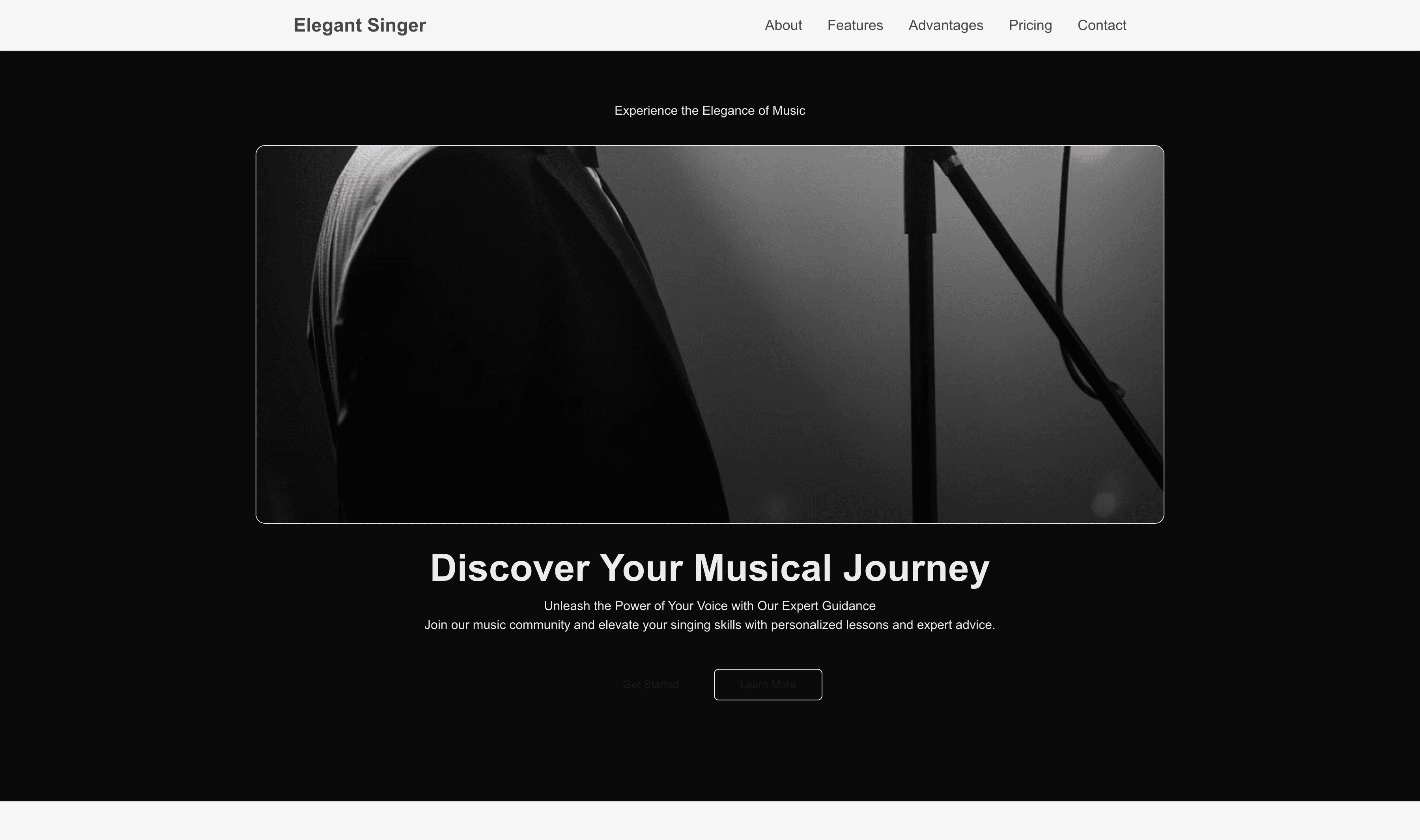 Transform a Singer (Elegant) Website Template into Website in Minutes