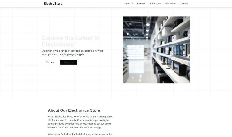 Electronics Store