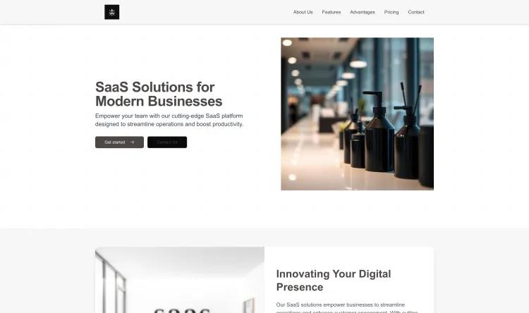 SaaS Company (Modern)