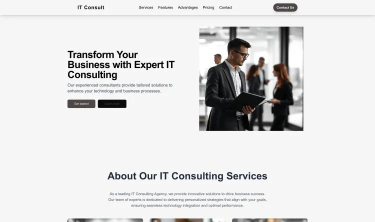 IT Consulting Agency (Business)