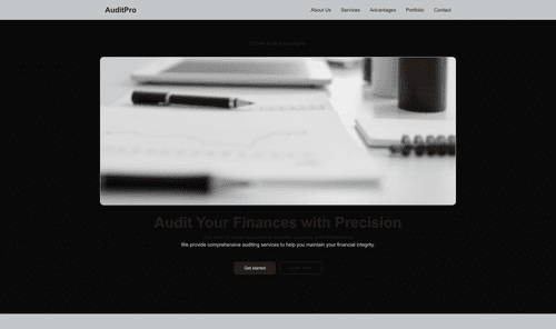 audit-accountant-graphic-website-template
