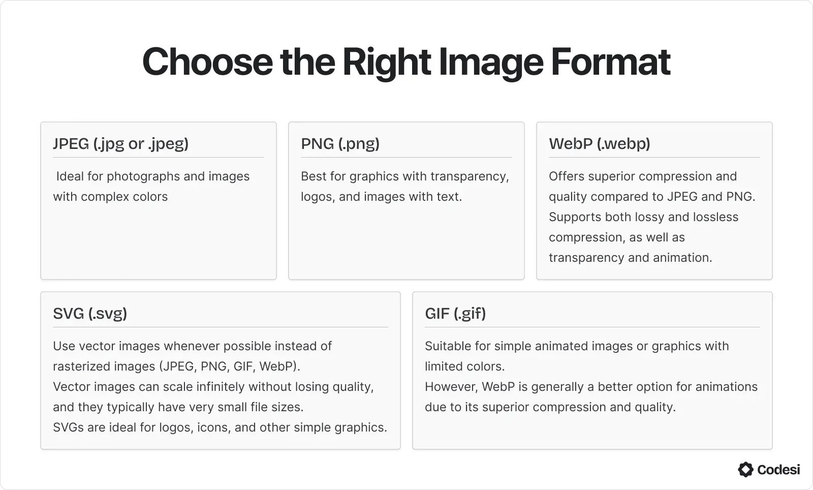 Choose the Right Image Format.webp