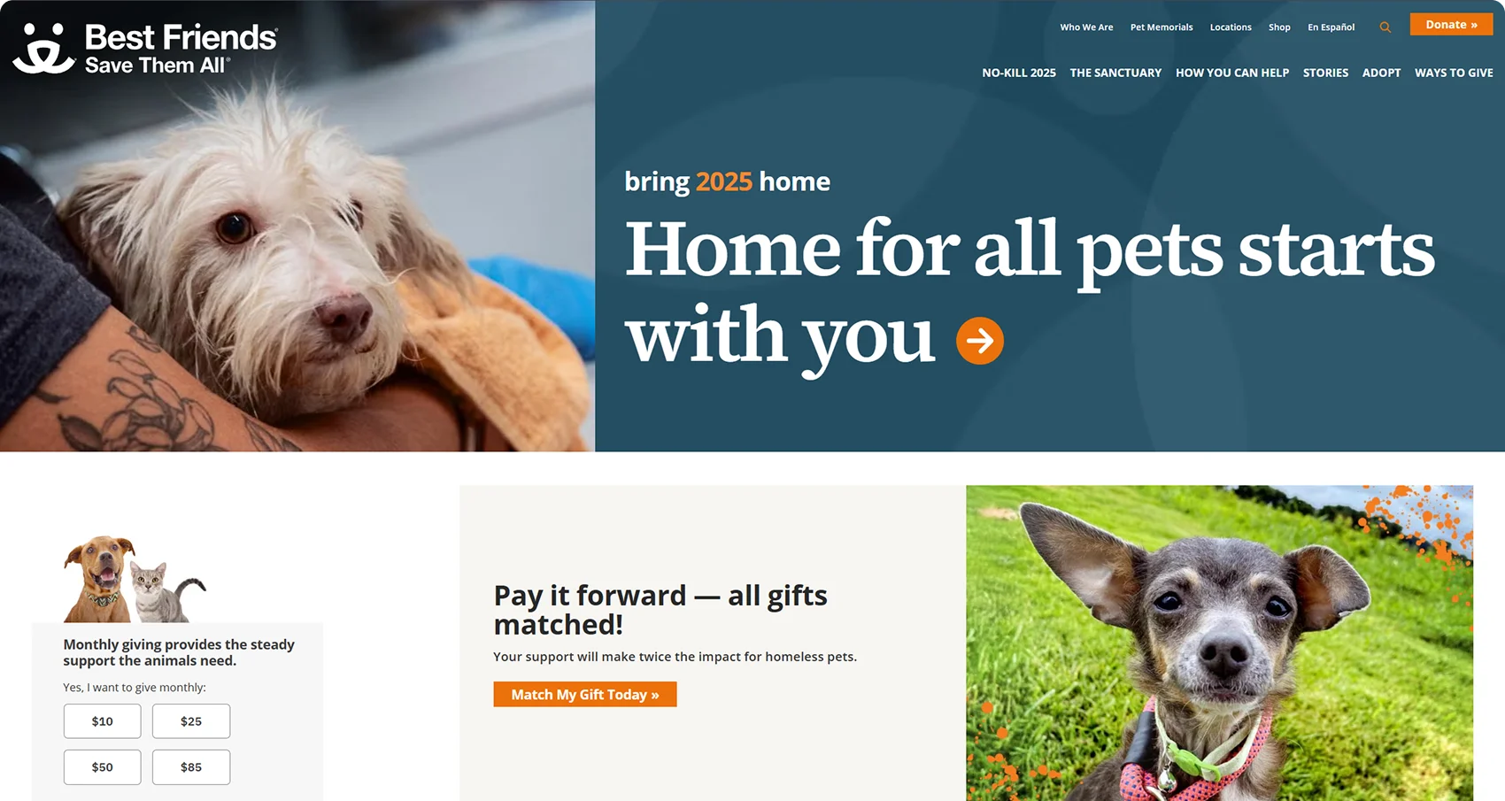 social-proof-and-urgency-page-example
