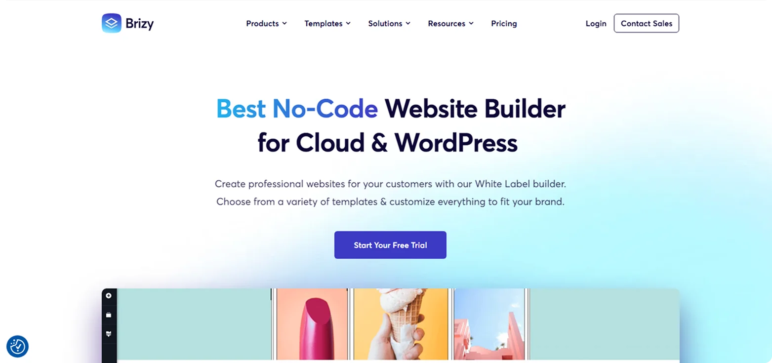 brizy-homepage