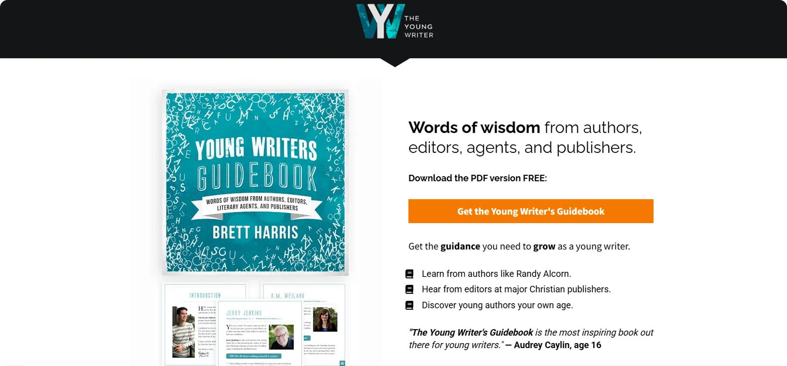 the-young-writer-example
