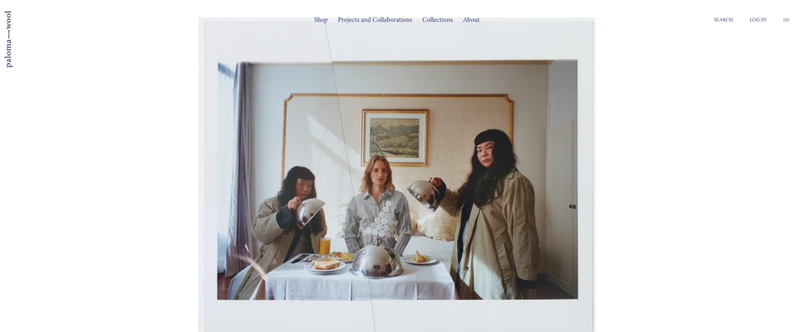 paloma-wool-example