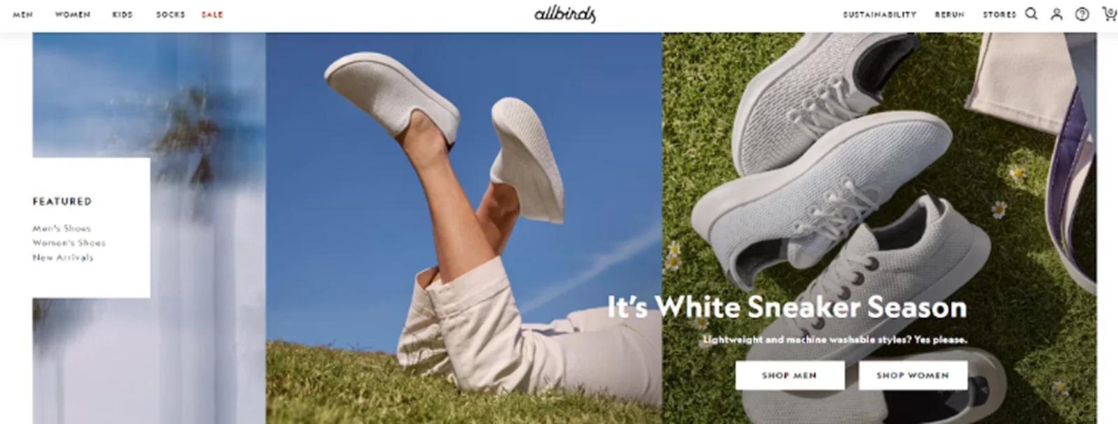 allbirds-example